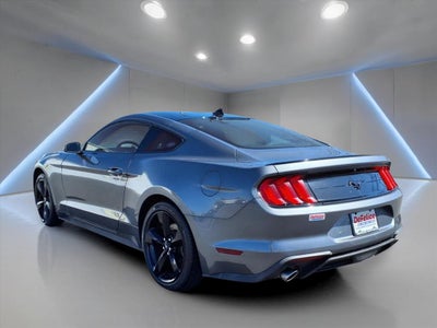 2021 Ford Mustang ECOBOOST FASTBACK