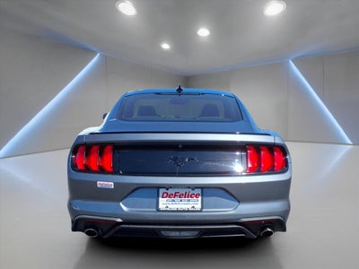 2021 Ford Mustang ECOBOOST FASTBACK
